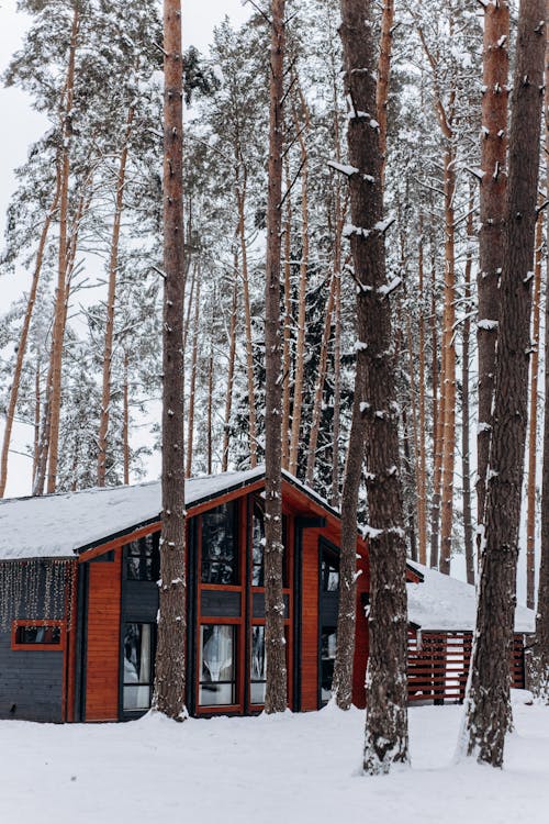 下雪的, 住所, 傳統 的 免费素材图片