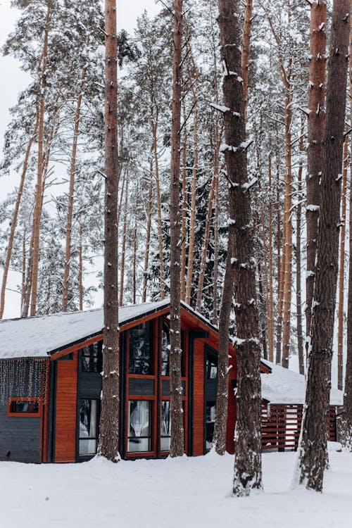 Ilmainen kuvapankkikuva tunnisteilla alppimaja, flunssa, jäätynyt