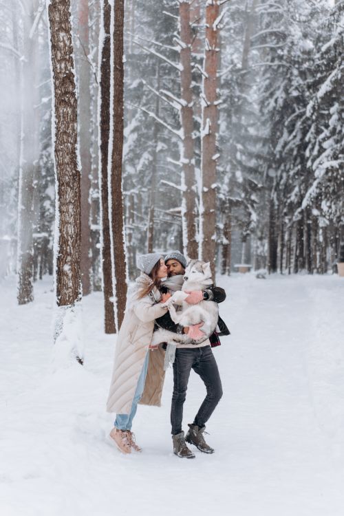A Couple Posing with their Dog in a Winter Forest · Free Stock Photo