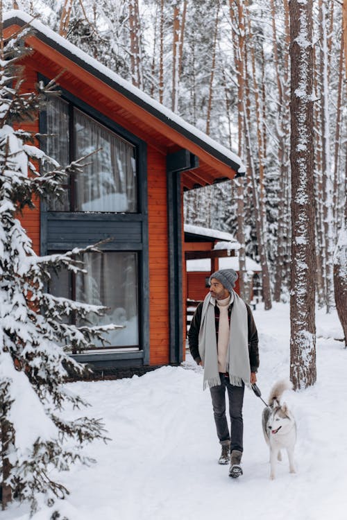 人, 冬季森林, 垂直拍摄 的 免费素材图片