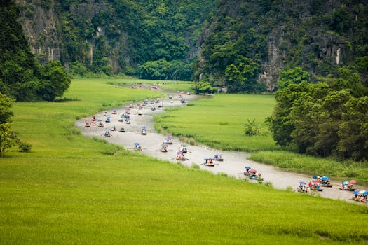 Crowd of people floating on river between grassy fields near green lush trees during trip in Vietnam in Tam Coc