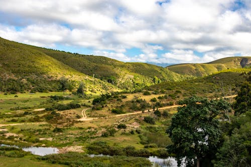 Green Grass Field and Hills