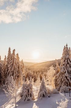 A breathtaking winter landscape featuring snow-covered trees and mountains during sunrise.