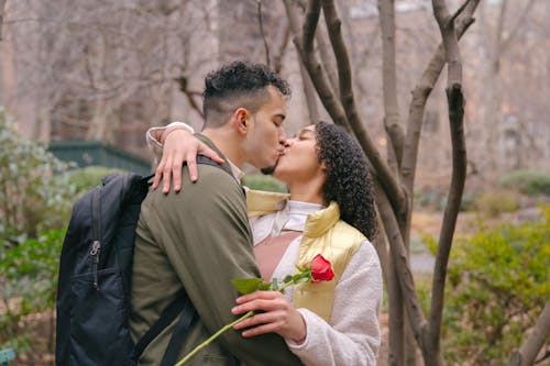 Free Young Hispanic couple in casual clothes standing in park while hugging and kissing tenderly with red rose in hand in daytime near trees and green bushes Stock Photo