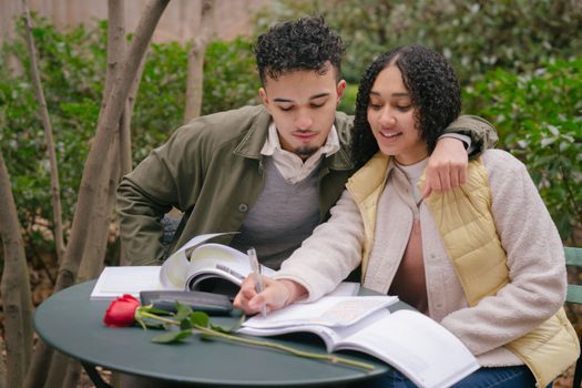 Hispanic boyfriend embracing girlfriend writing in planner at table with fresh red rose in park