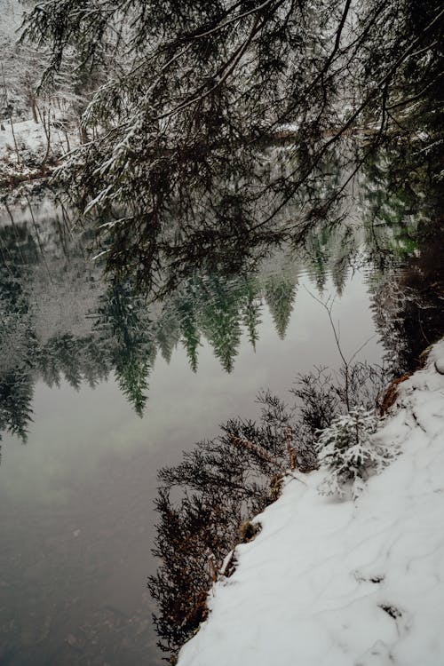 Ilmainen kuvapankkikuva tunnisteilla flunssa, heijastukset, järvi