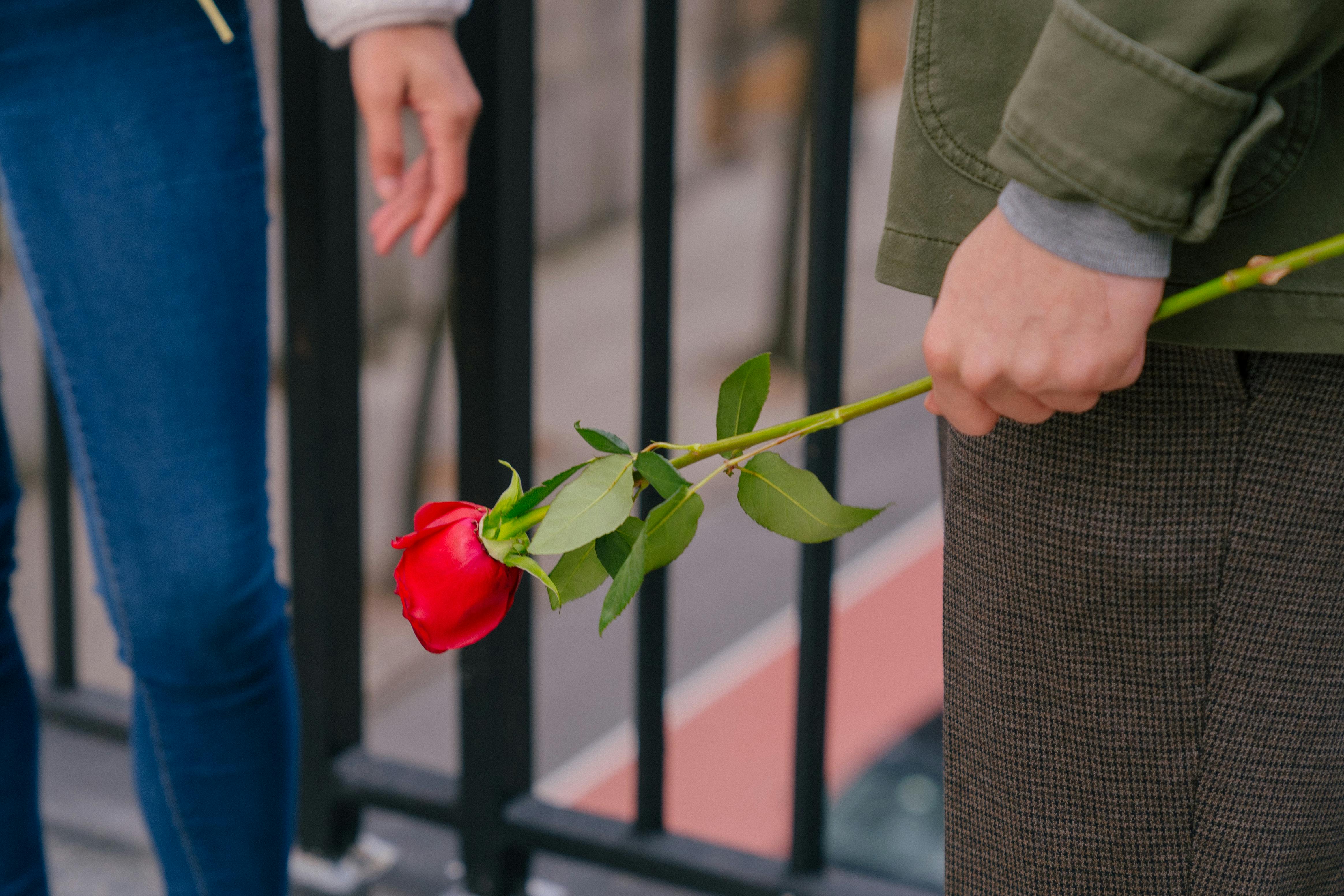 The impact of growing individualism on romantic relationships. — Photo by Budgeron Bach on Pexels