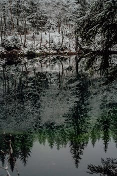 Serene winter scene with snow-covered trees reflected in a lake in Munich.