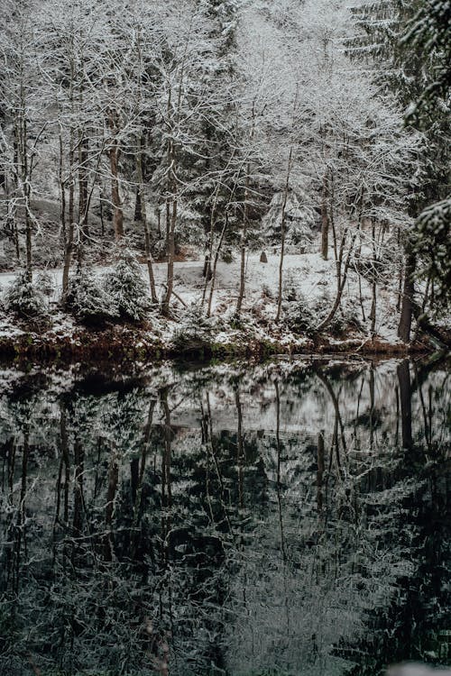 Gratis arkivbilde med forkjølelse, innsjø, landskapsfotografering Arkivbilde