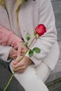 Crop couple with red rose