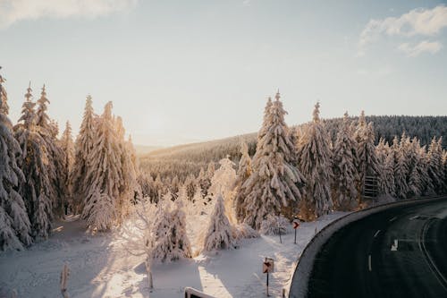 Kostnadsfri bild av 4k tapeter, drönarbilder, drone view