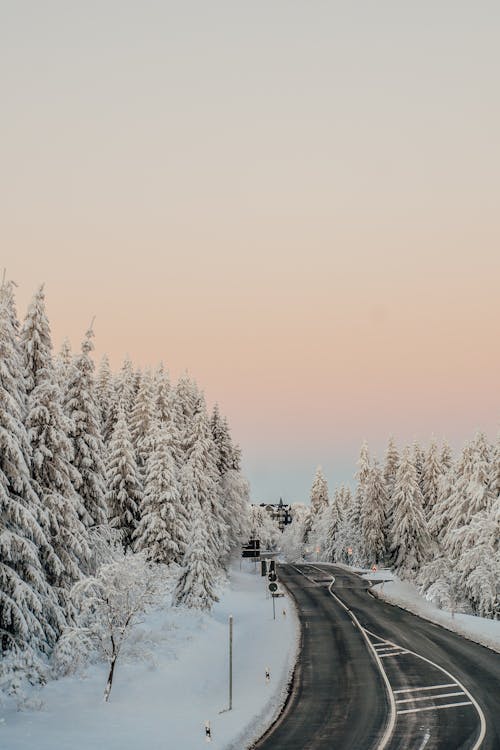 Foto d'estoc gratuïta de carretera, cobert de neu, constipat