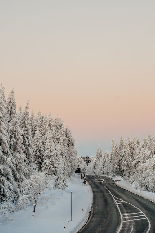 Ilmainen kuvapankkikuva tunnisteilla flunssa, lumen peitossa, lumi