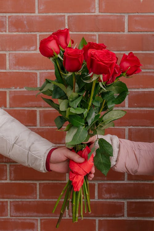 Free Boyfriend and girlfriend with bright red bouquet of roses Stock Photo