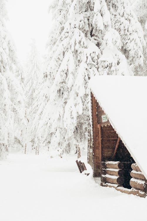 Immagine gratuita di alberi, cabina, coperto di neve