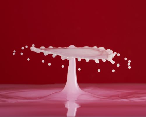 Free A mesmerizing capture of a milk splash resembling a mushroom with droplets suspended in motion. Stock Photo