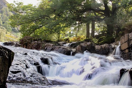 Free A picturesque view of a river with rapids flowing through a lush English forest. Stock Photo