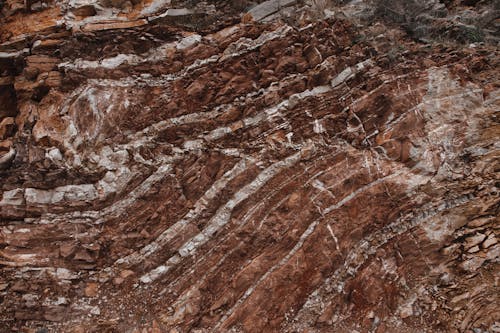 Close-up of Geological Structure of a Rock 