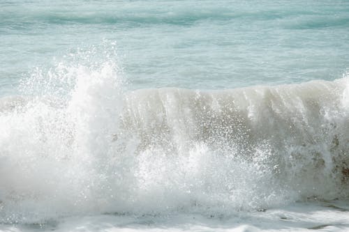 招手, 水, 波浪撞擊 的 免费素材图片