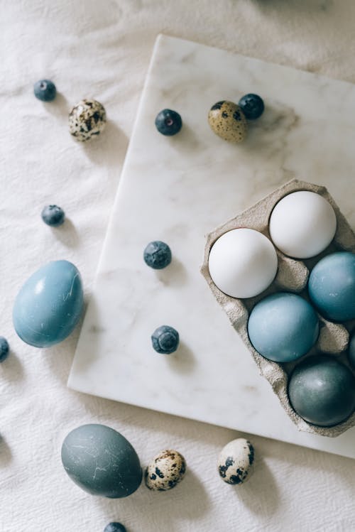 Free Blue Colored Eggs  Stock Photo