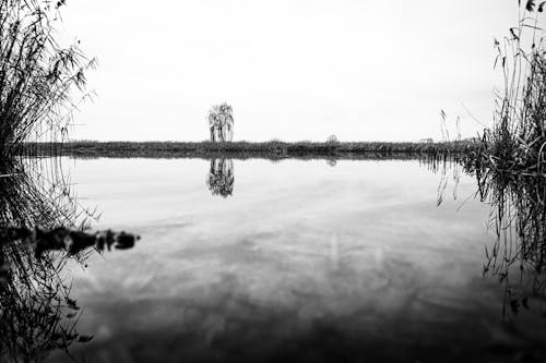 Darmowe zdjęcie z galerii z czarno-biały, fotografia przyrodnicza, jezioro