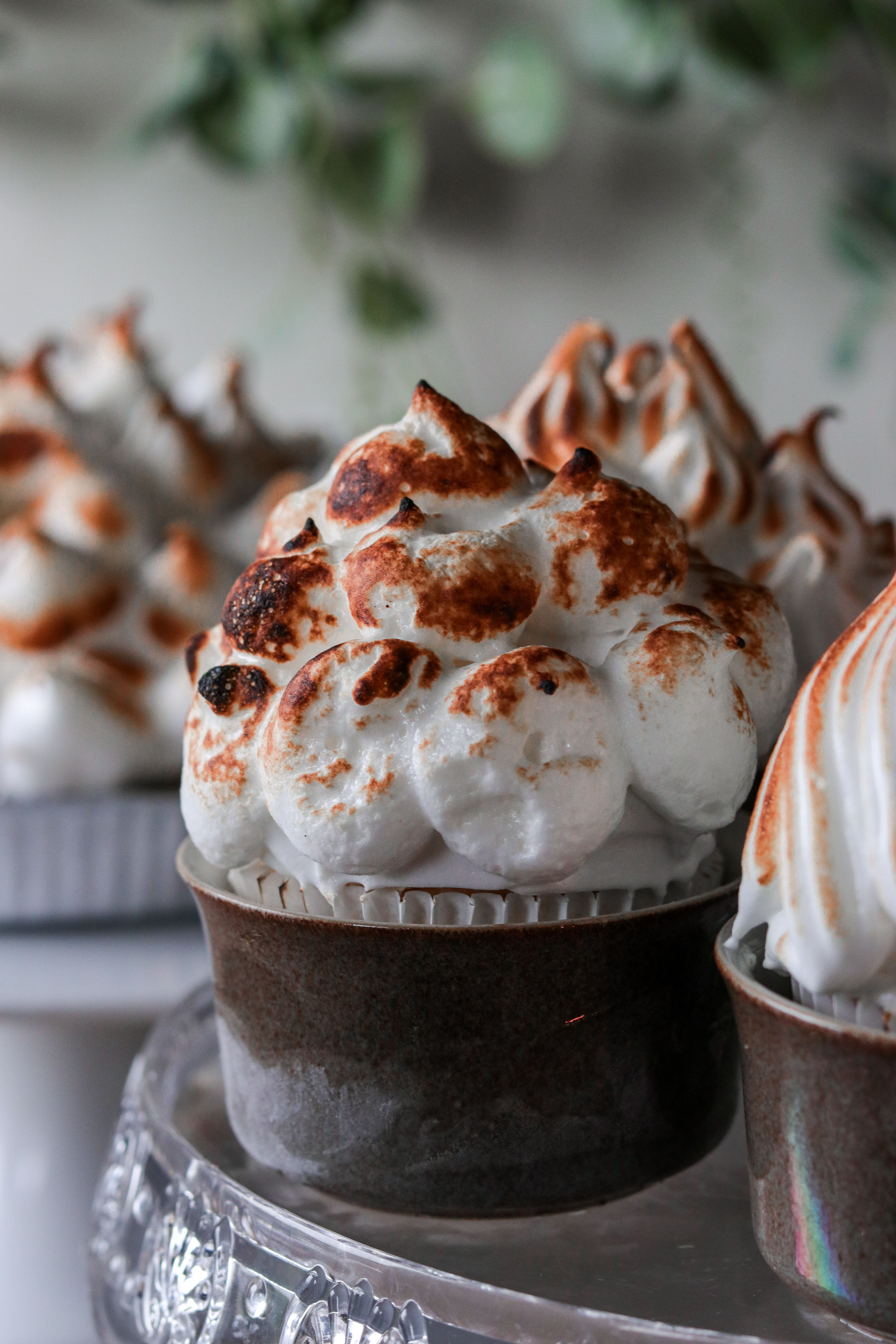 Baked Alaska