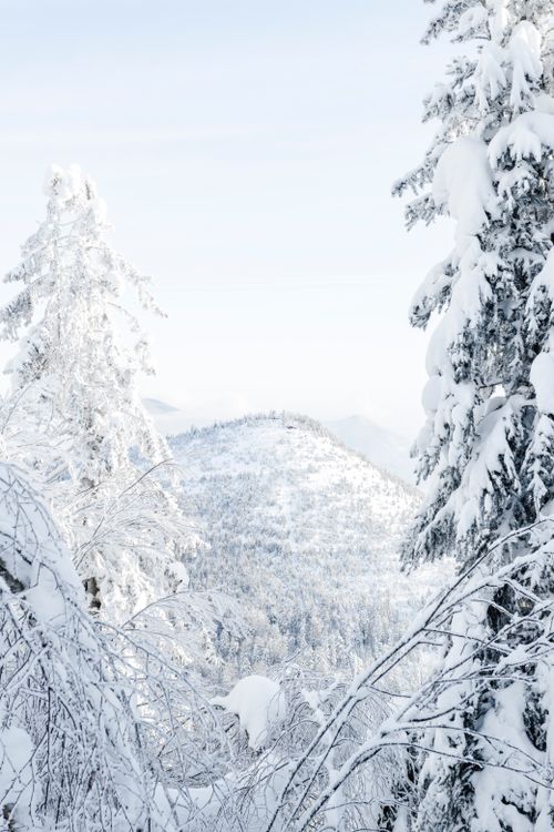 Free A serene winter landscape in Grandfontaine, France, showcasing snow-covered trees and hills. Stock Photo