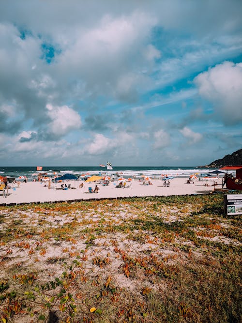 People on the Beach