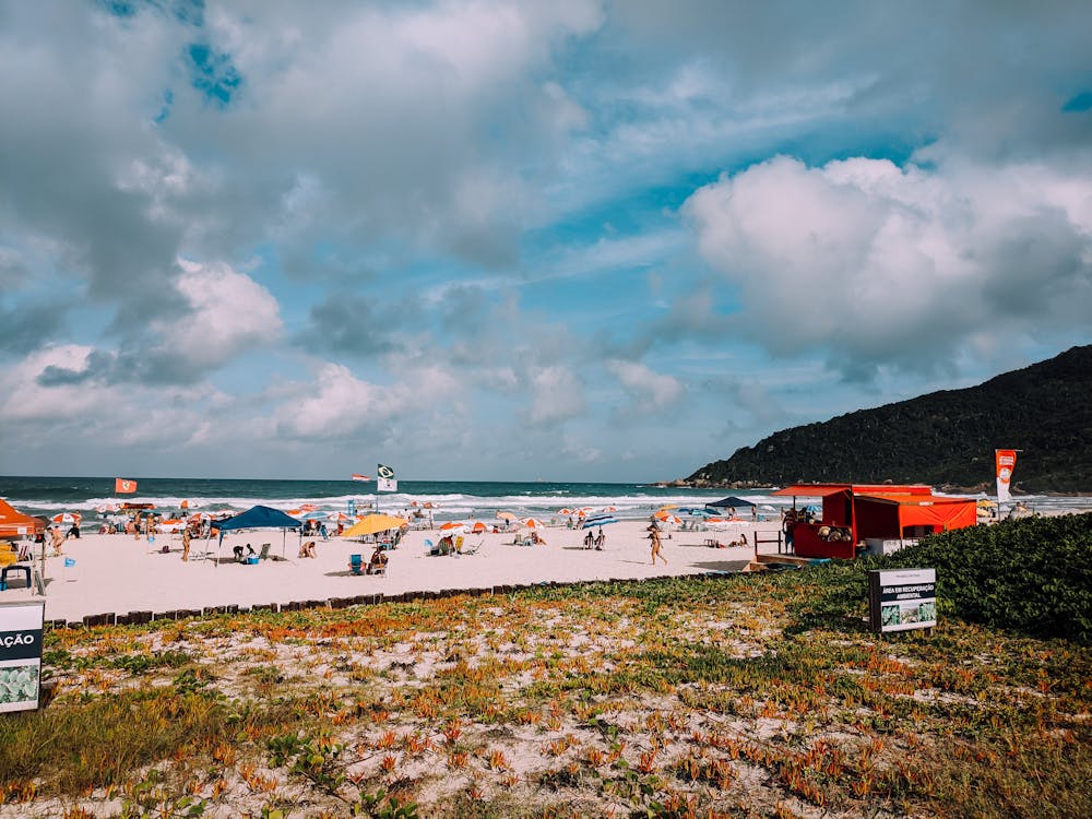 People on the Beach