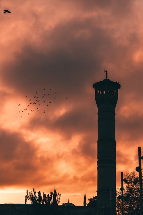 Silhouetted Tower and a Flock of Birds Flying on the Background of a Pink Sunset Sky 