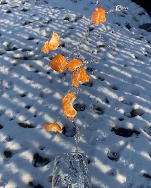 High angle of clear water with slices of tangerines pouring from wineglass on white snow