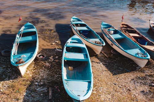 Free stock photo of blue, lake, rowboat