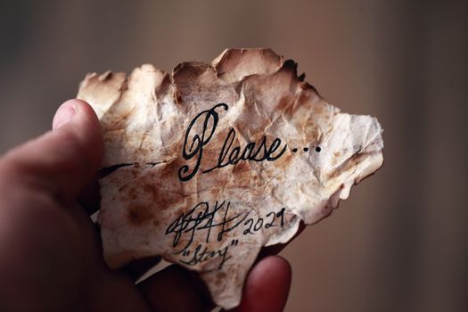 Person Holding Brown and White Paper