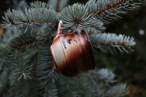 Free Close up of a Small Cup on a Christmas Tree Stock Photo