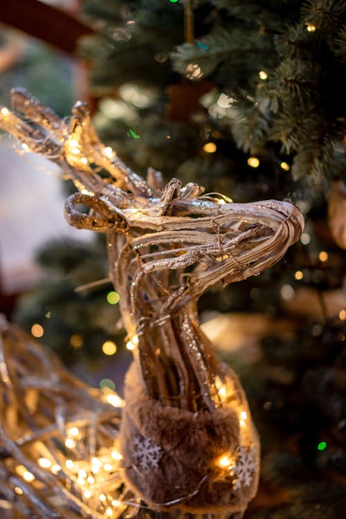 Decorative reindeer with shiny lamps placed near green branches of decorated coniferous tree with garland on blurred background during Christmas holiday