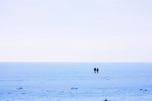 Бесплатное стоковое фото с зима, покрытый снегом, поле