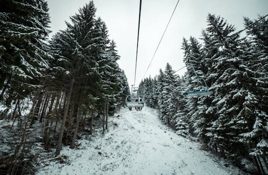 A ski lift traveling through a snowy forest landscape, capturing the essence of winter recreation.