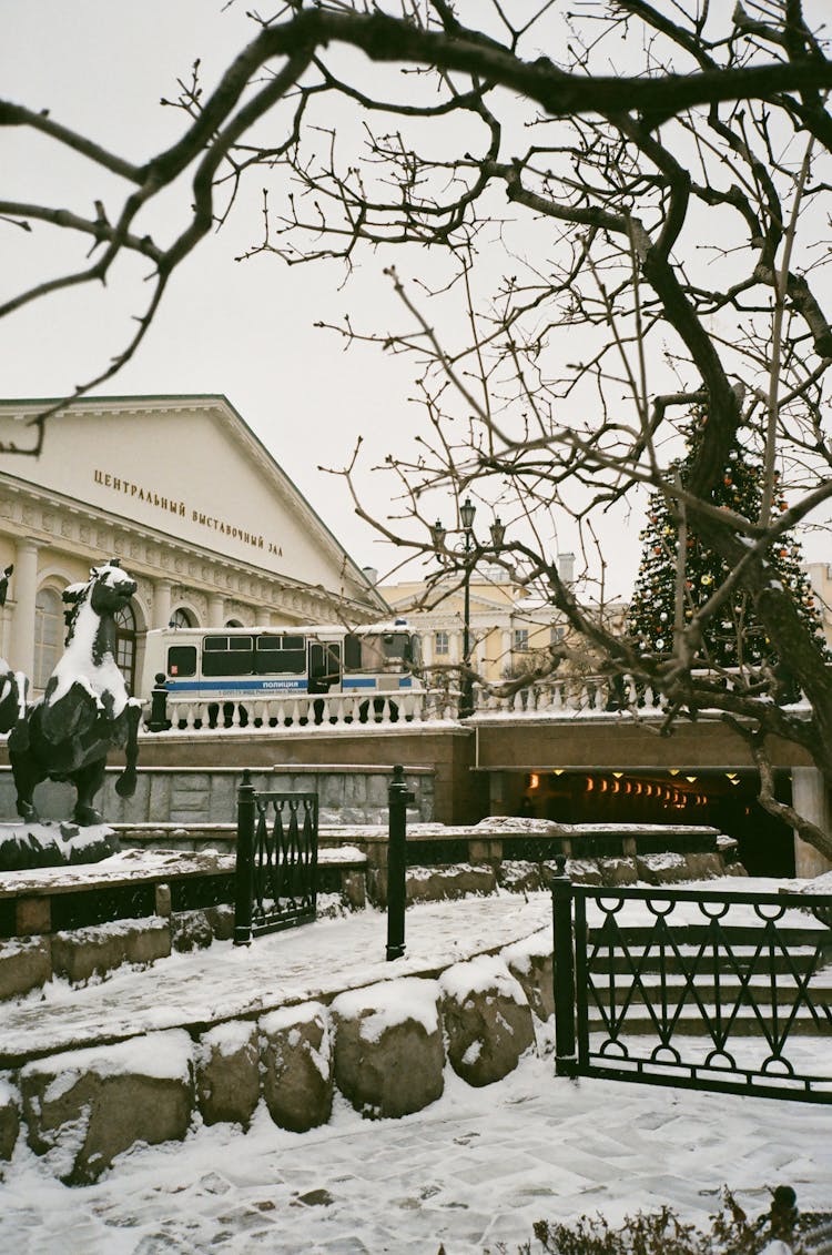 Modern Building And Horse Statues On Winter Day