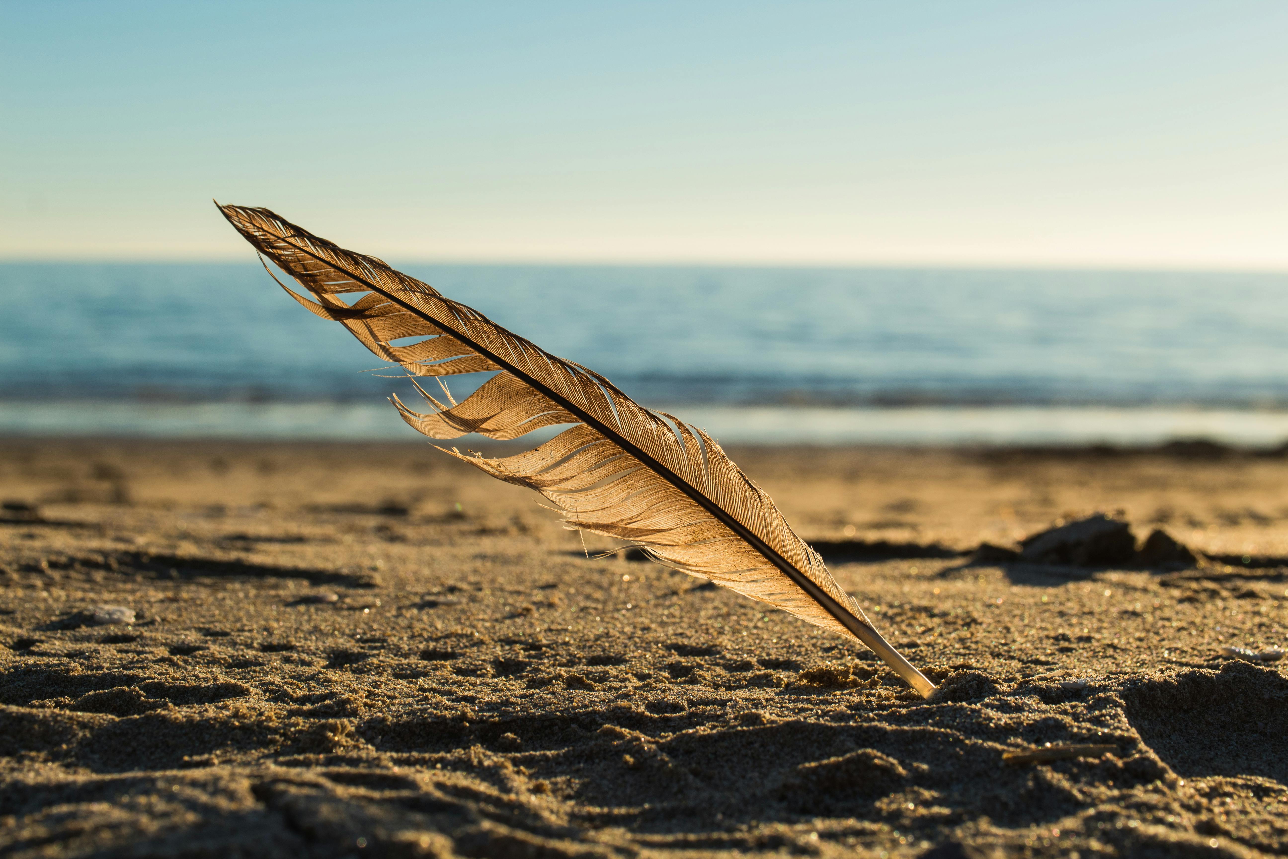 A lone feather stands in the sand against the serene backdrop of the Bahía de Kino shoreline.