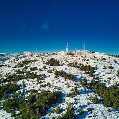 Immagine gratuita di alberi verdi, campagna, cielo azzurro