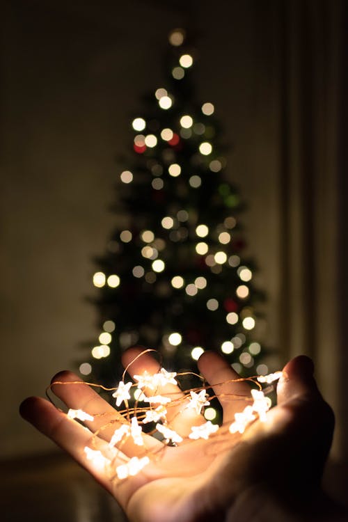 Immagine gratuita di albero di natale, bokeh, mano