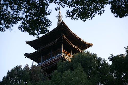 Free Brown and White Pagoda Temple Surrounded by Green Trees Stock Photo
