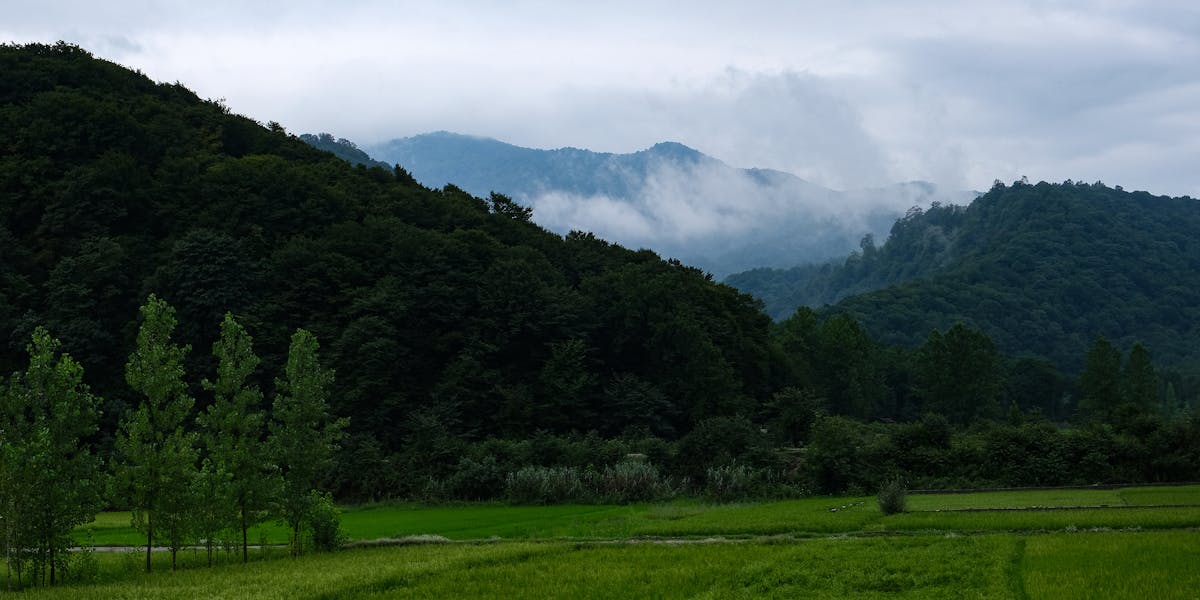 Cover image for Model Version Drift in Production Systems