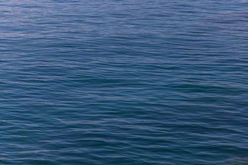 Fotos de stock gratuitas de agua, azul, dice adiós