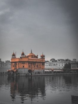 Pexels Photo 6540415