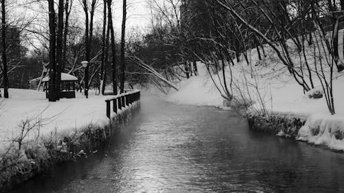 Kostenloses Stock Foto zu bach, schöne natur, waldfluss