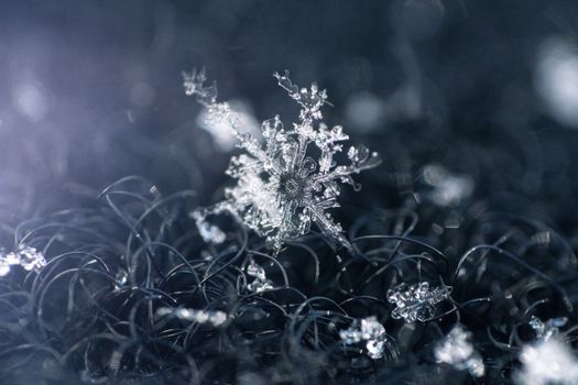 Intricate snowflake on dark surface, showcasing its crystalline beauty in close-up macro photography.