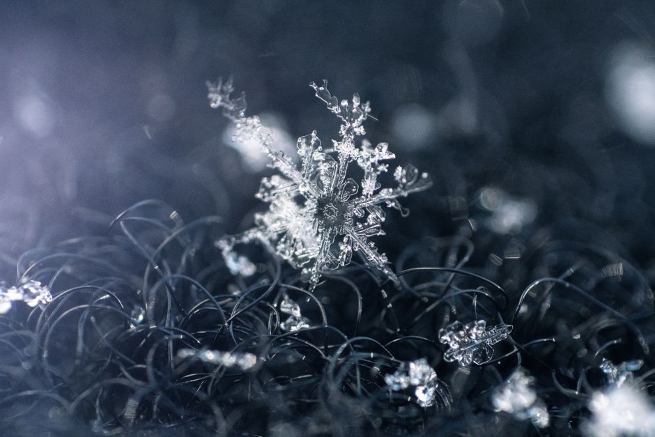 Intricate snowflake on dark surface, showcasing its crystalline beauty in close-up macro photography.