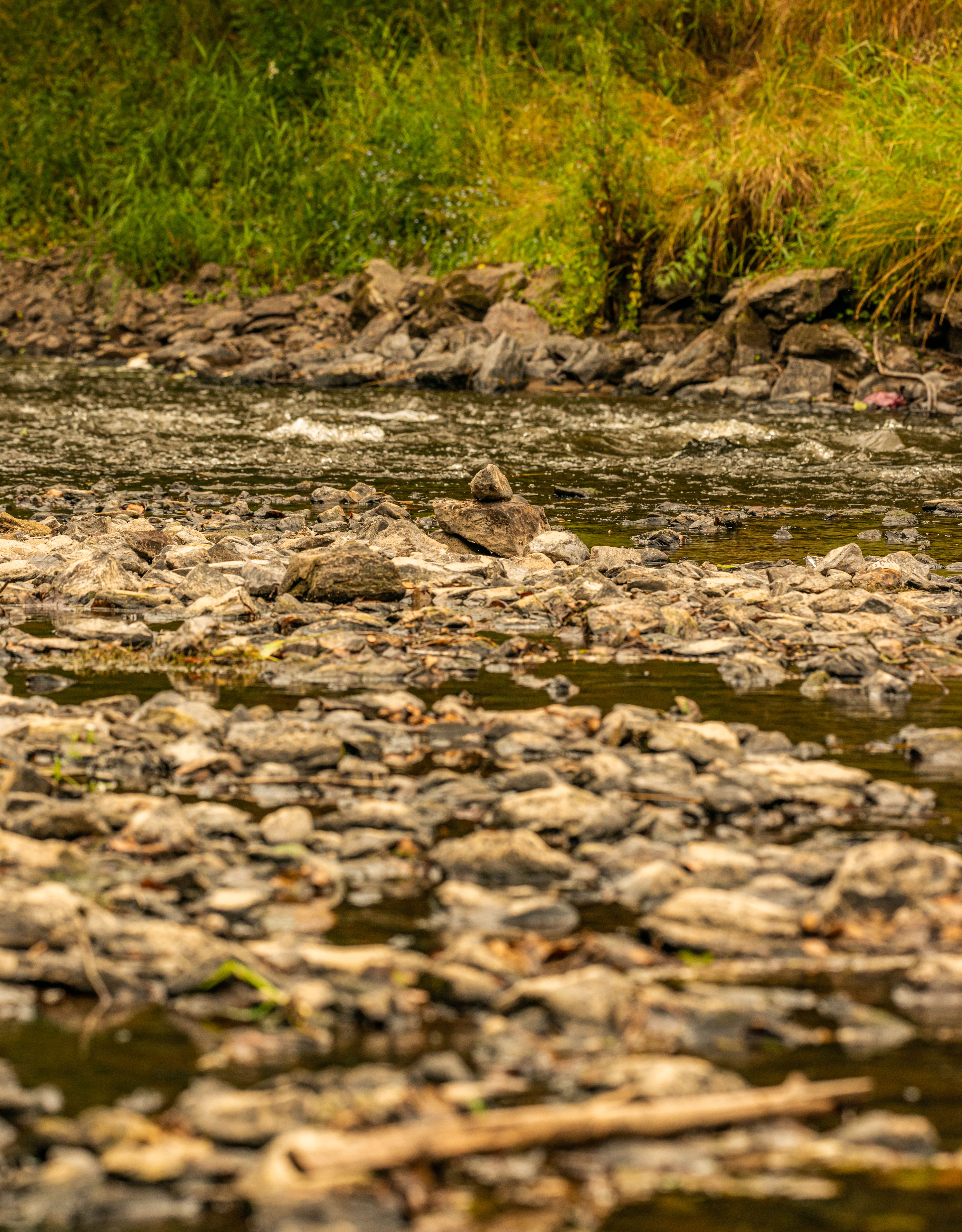 Close up of Rocks in a Stream · Free Stock Photo