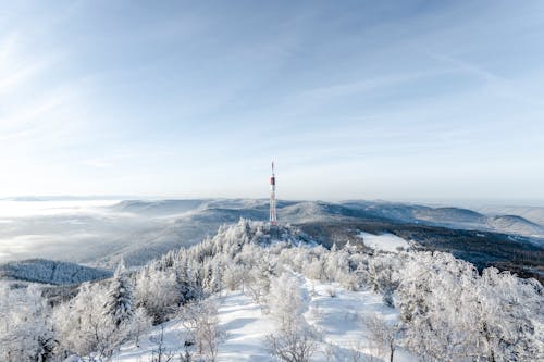 タワー, トップ, 冬の無料の写真素材